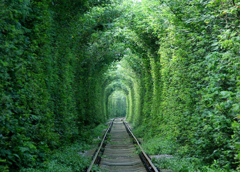 Nanjing 'Love tunnel' on a par with Ukrainian one