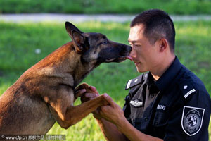 Hero police dog buried in Wuhan