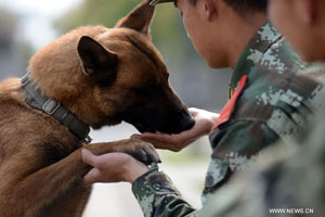 Hero police dog buried in Wuhan