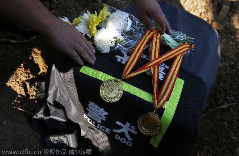 Hero police dog buried in Wuhan