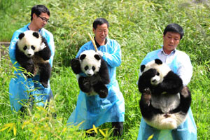 Endangered species on sale in SW China
