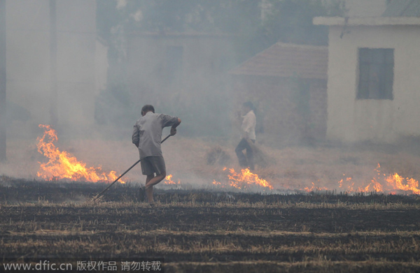Coal burning major contributor to China smog: expert