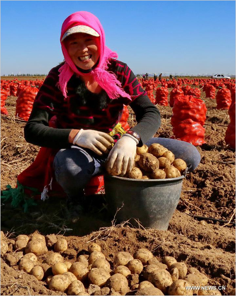 China to boost potato cultivation