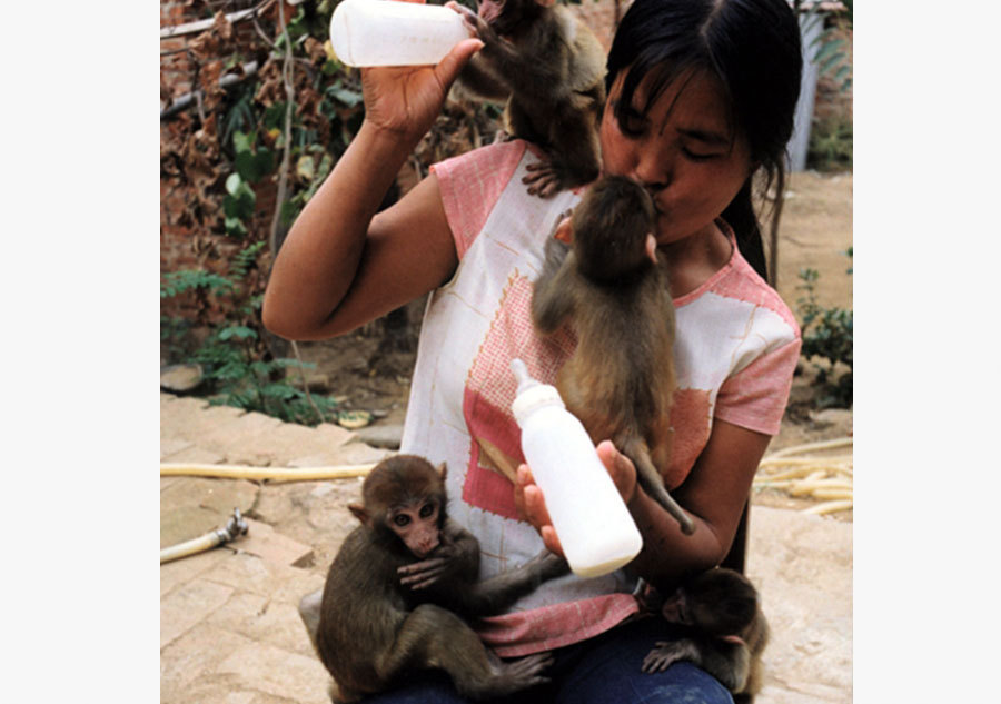 Joy and sorrow of monkey trainers