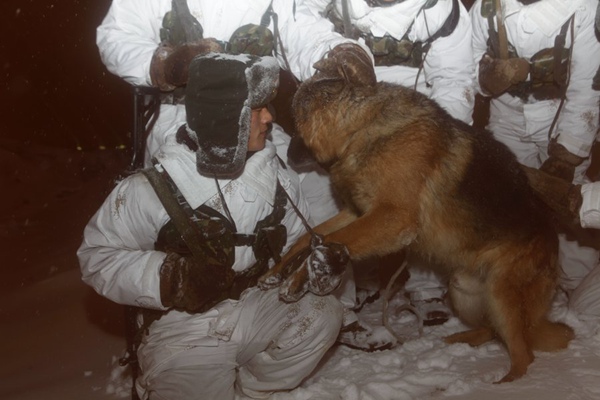 Man's best friend: border soldiers and a military dog