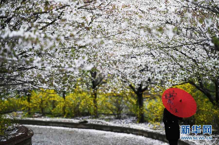 April blooms across China
