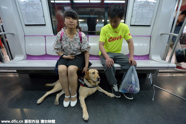 Beijing allows guide dogs on subway
