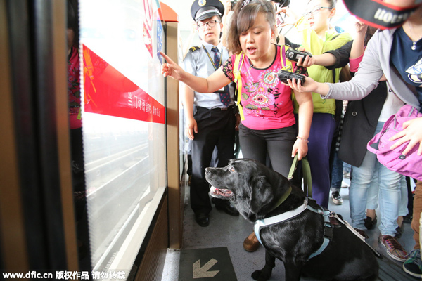 Beijing allows guide dogs on subway
