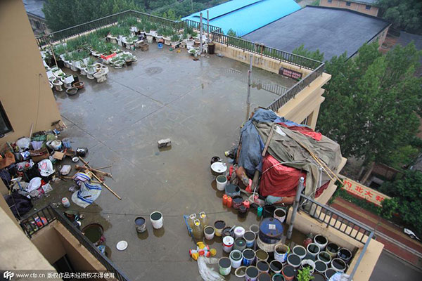 Mentally disabled uses toilets to grow vegetables on rooftop