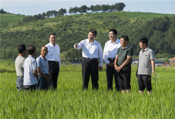 Xi stresses status of SOEs in national development