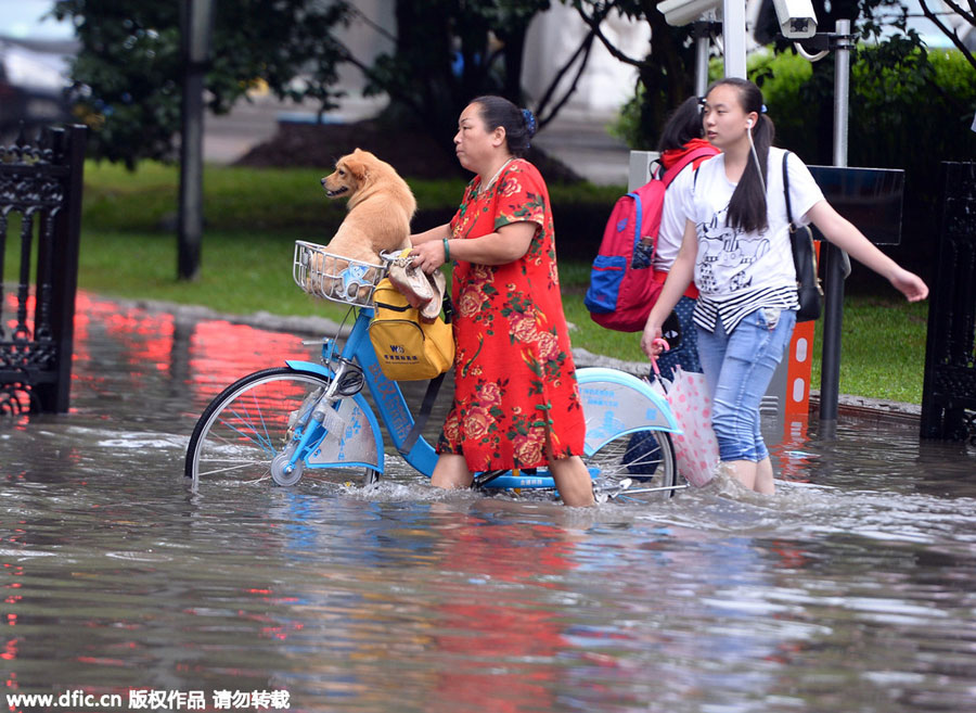 Thunderstorms to hit central, south China