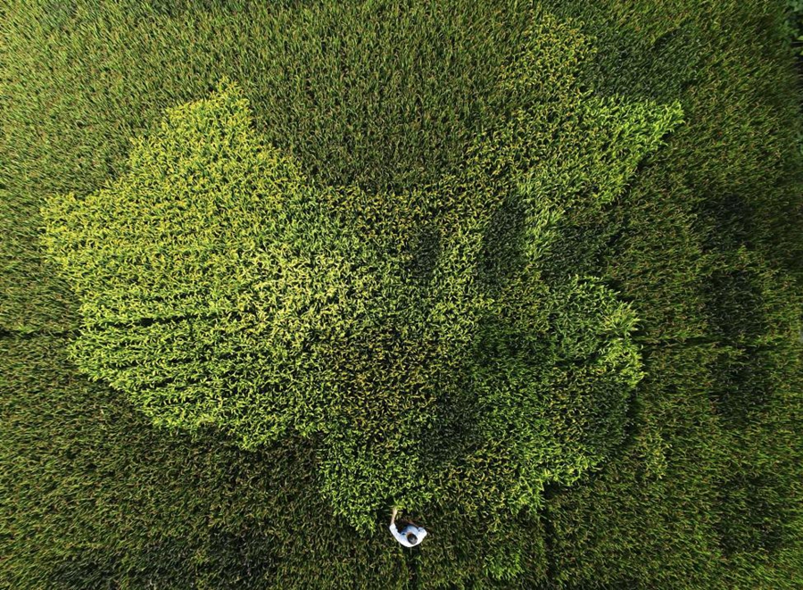 China from above