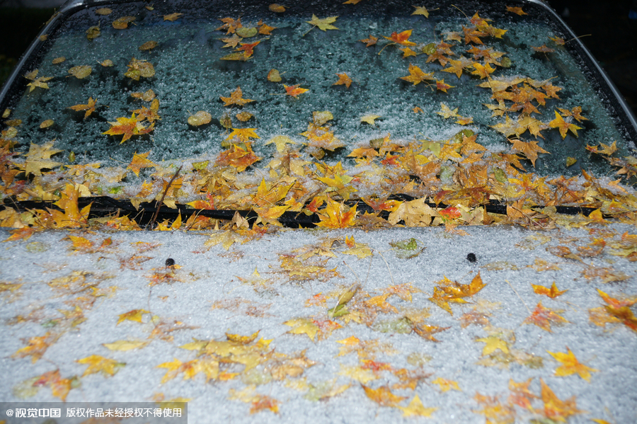 Beijing embraces first snow of the season