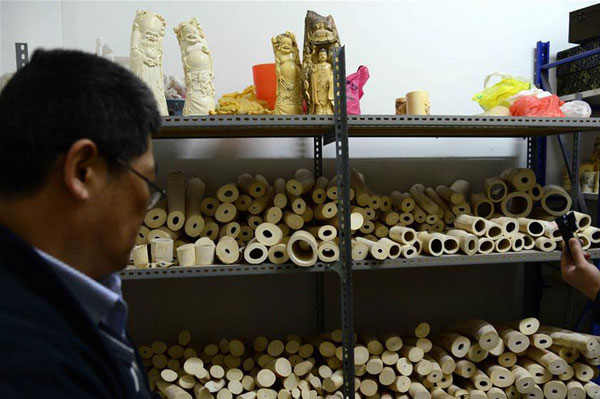 600kg of illegal ivory busted in East China