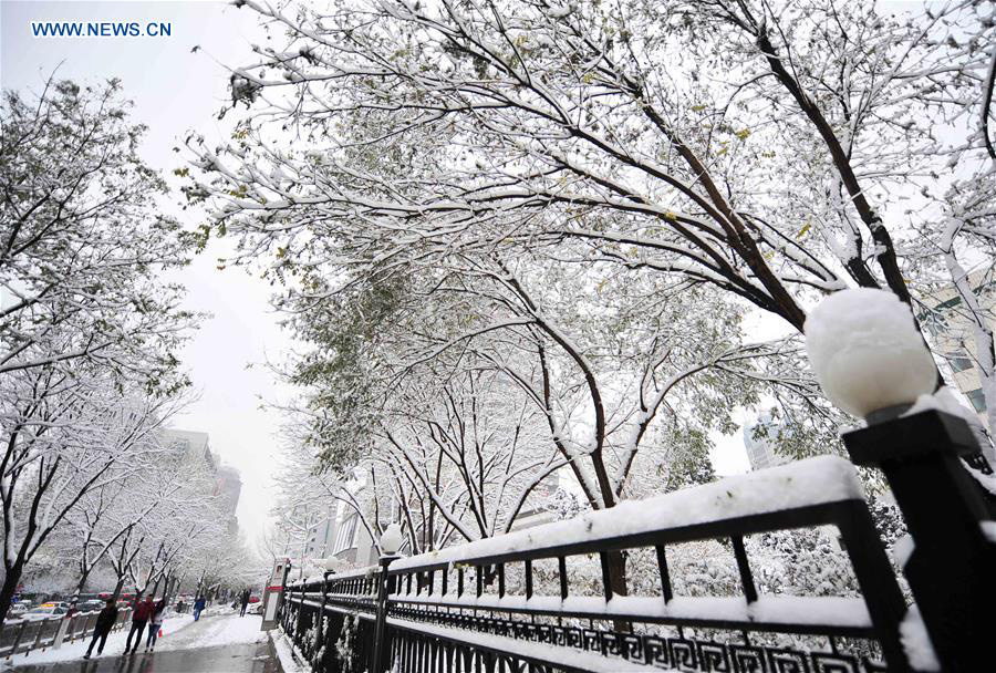 Snowstorms sweep across northern China