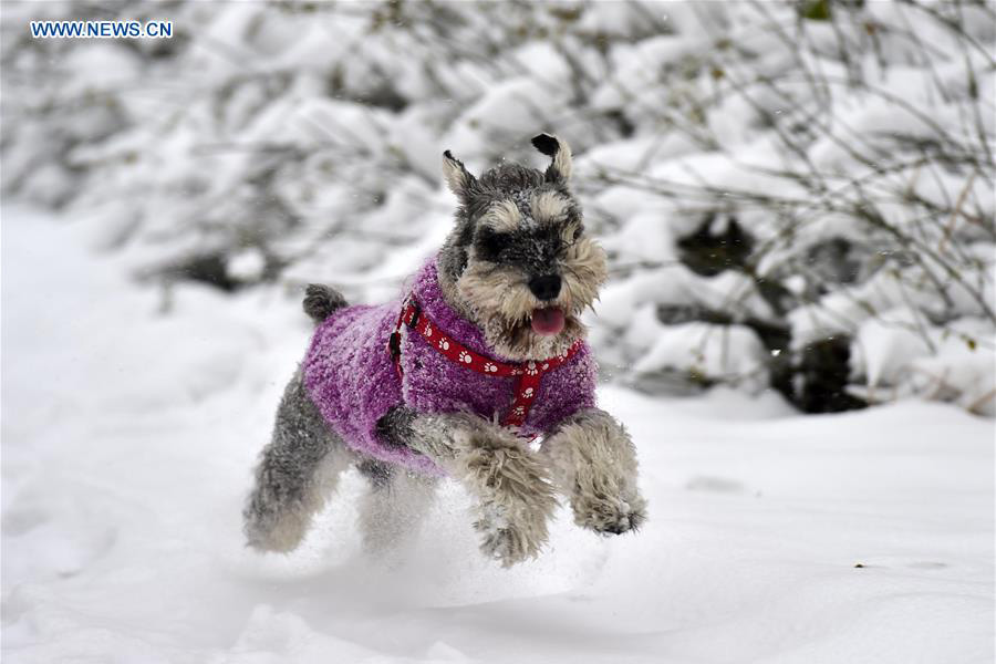 Snowstorms sweep across northern China