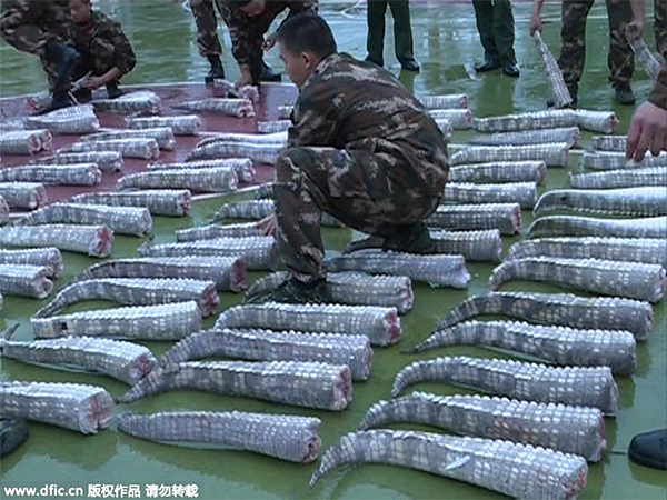 Police seize 158 crocodiles at China-Vietnam border