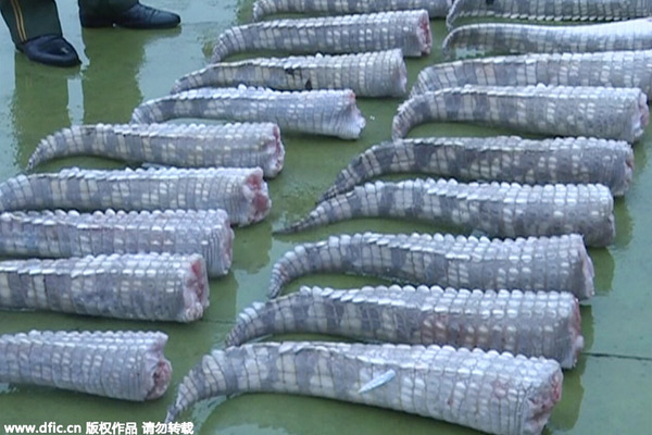 Police seize 158 crocodiles at China-Vietnam border