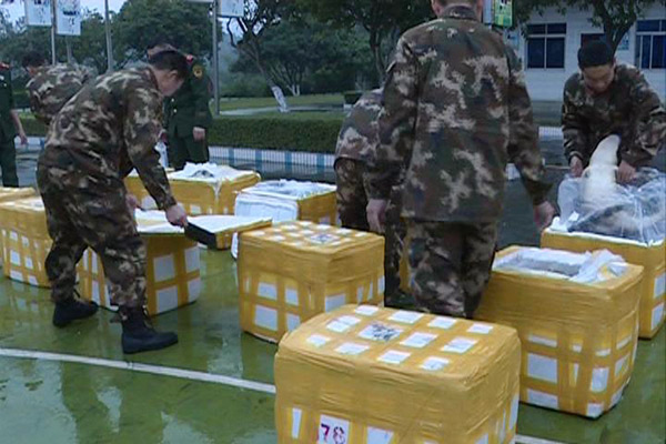 Police seize 158 crocodiles at China-Vietnam border