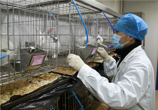National lab animals standard on the way