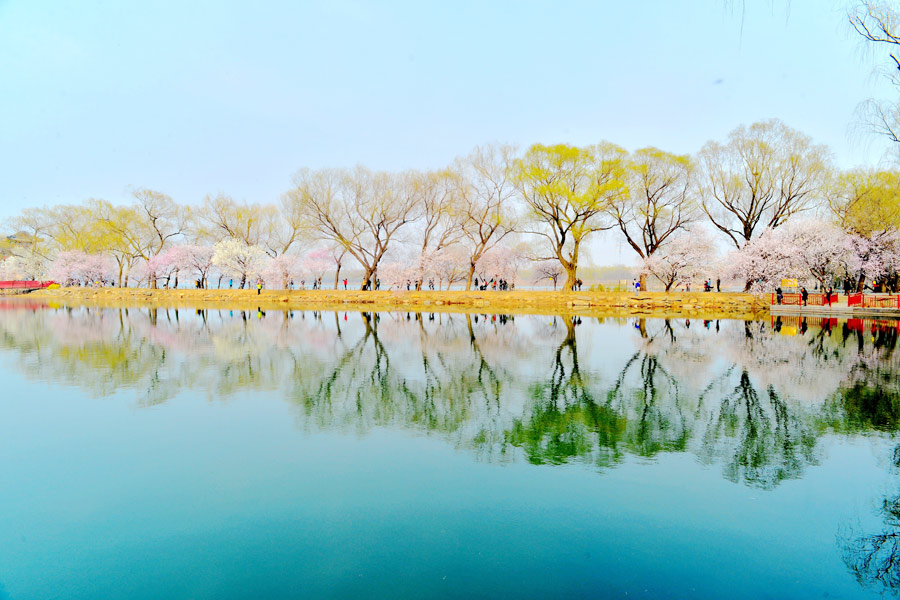 Discover beautiful China in spring blossom (Ⅲ)