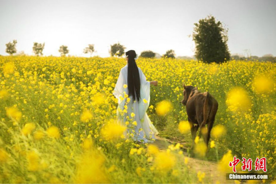 Official's photos an unusual attraction in Chinese village