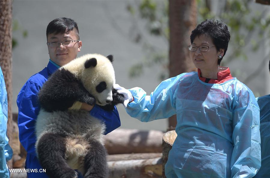 Wolong National Nature Reserve officially operates in Sichuan
