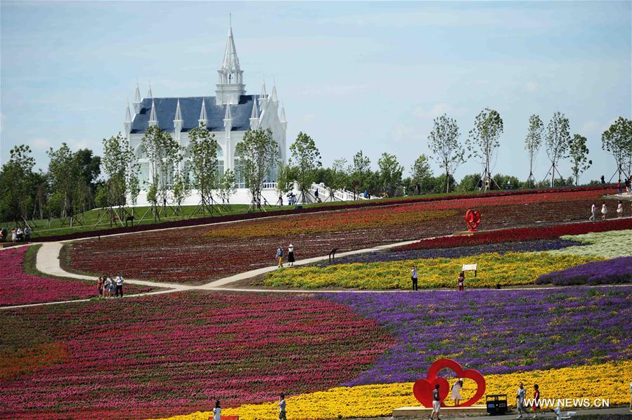 Lavender field attracts visitors in NE China