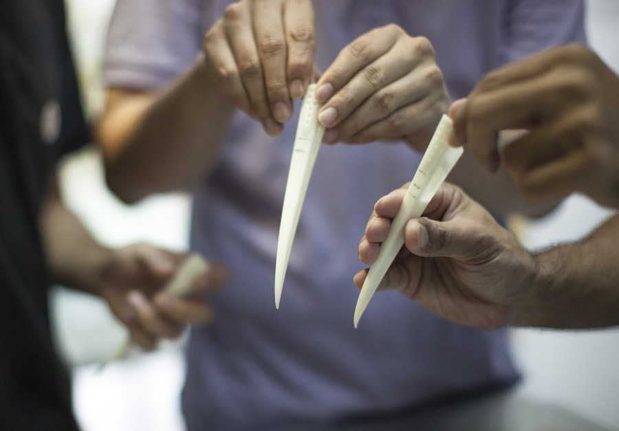 3D-printing helps red-crowned crane get new beak