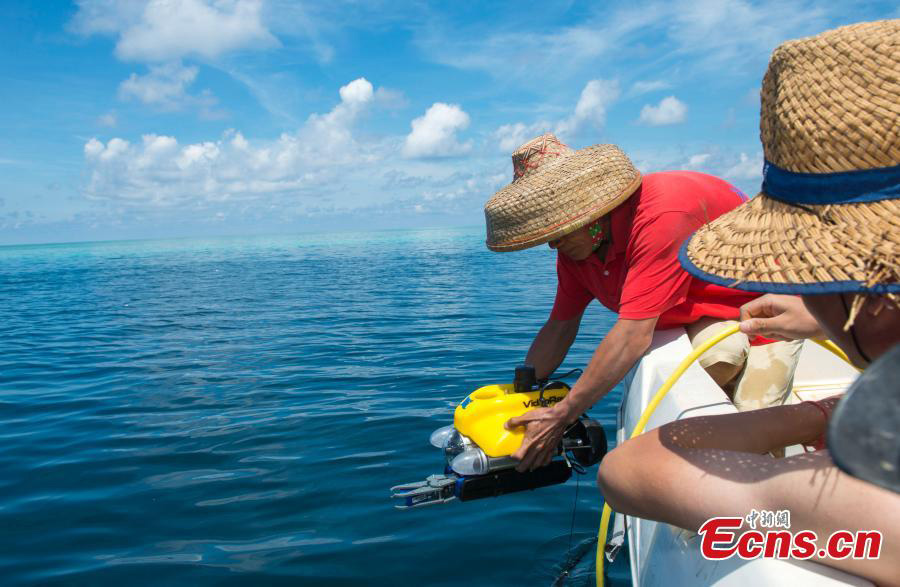 China's Sansha launches maritime ecological protection fund