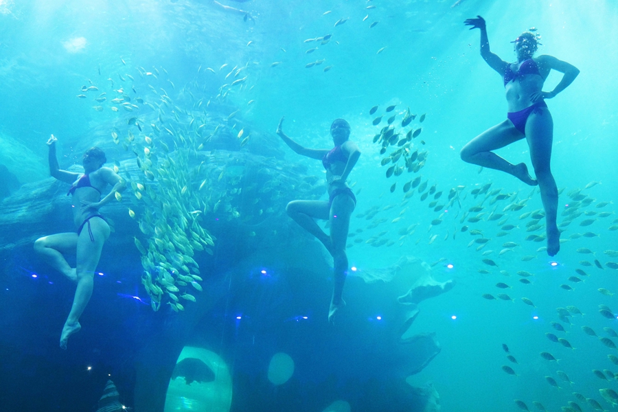 'Mermaids', dancers and whales create a splash at Guizhou's ocean park