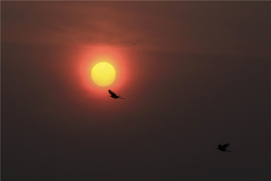 From dusk to dawn: The other side of Beijing