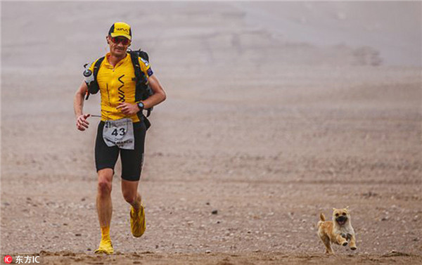 Nothing can separate marathon runner and his dog mate