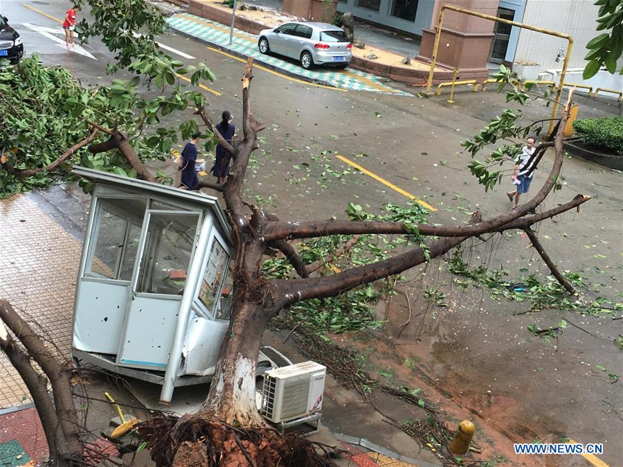 Typhoon Meranti causes extensive damage in East China