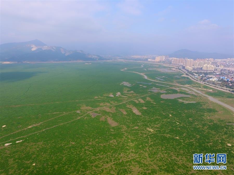 China's largest freshwater lake turns into prairie