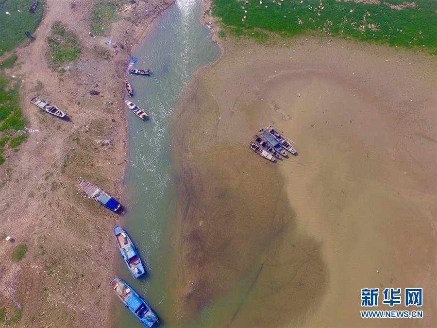 China's largest freshwater lake turns into prairie