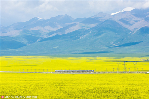 Highest and lowest life expectancy across China