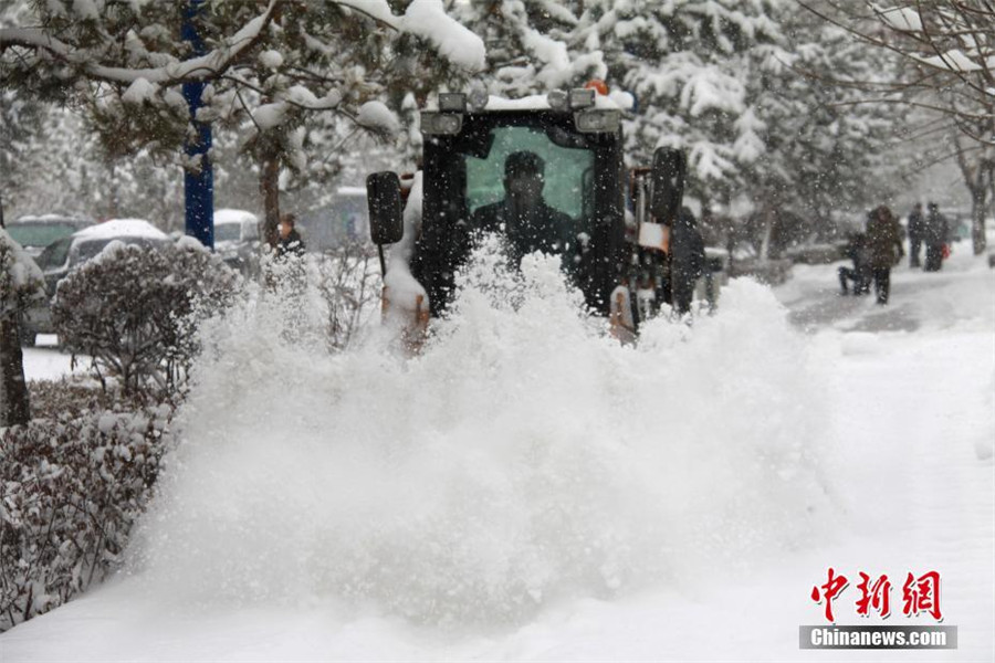 Snow storm hits Xinjiang