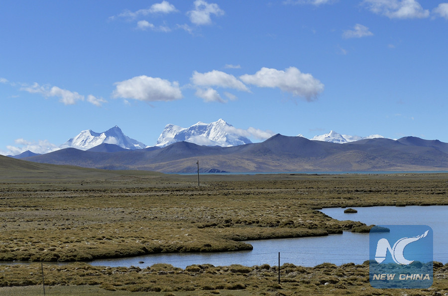 Doctors in high demand on 'roof of the world'