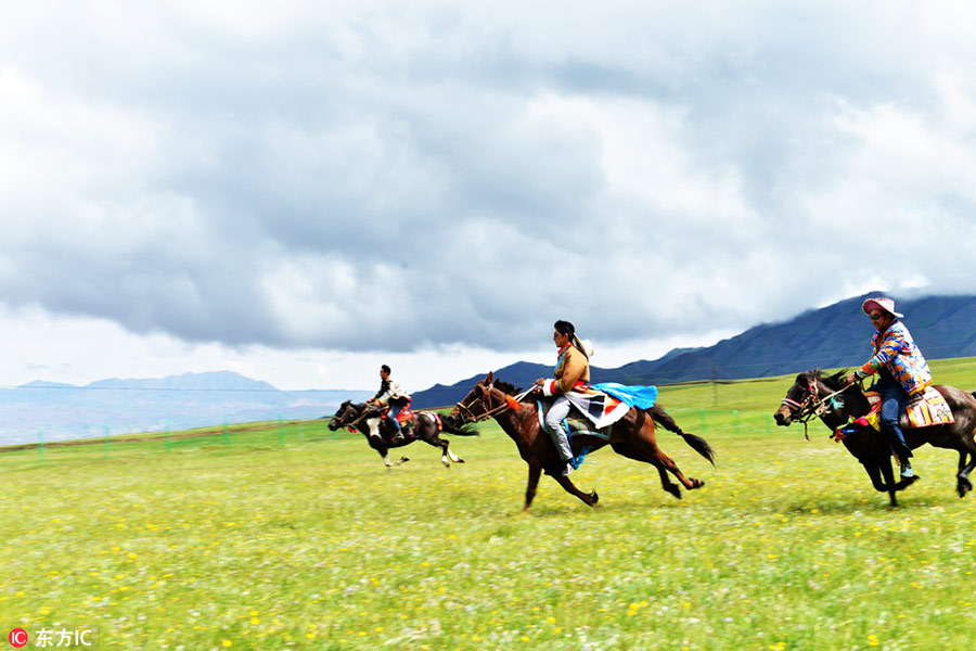 Grassland in Southwest China restored after years of ecological protection