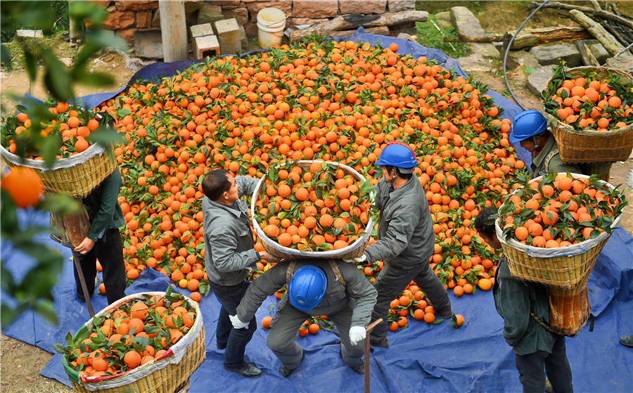 Cableway brings hope to orange farmers