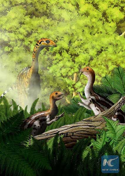 Dinosaurs with teeth only as babies found in China