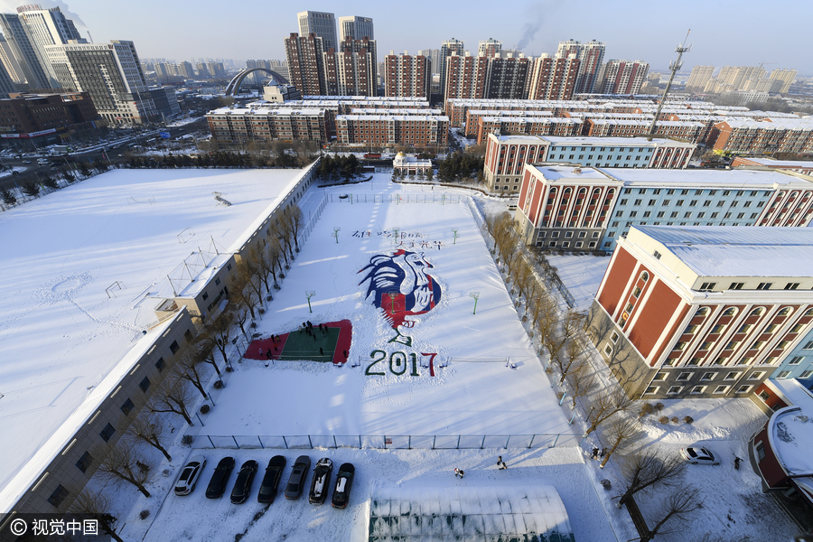 Students create huge rooster-shaped snow figure to welcome the New Year