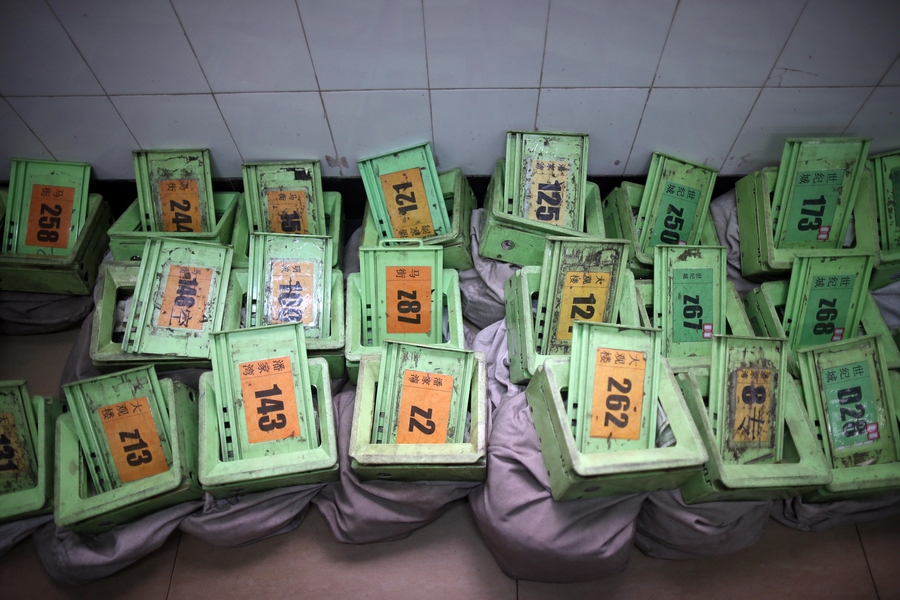 Cramped fingers, 24-hour security and sticky tape all part of a money counter's job