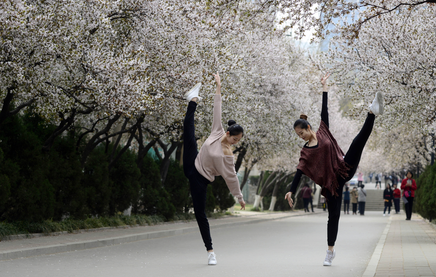 Dancing amid sea of flowers in E China