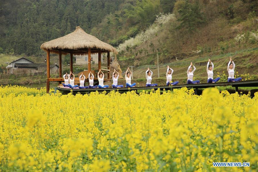 Yoga fans practise yoga on farmland of flowers in C China's Zhangjiajie<BR>