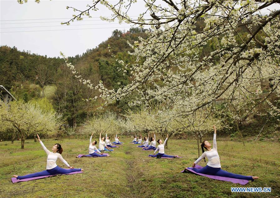 Yoga fans practise yoga on farmland of flowers in C China's Zhangjiajie<BR>