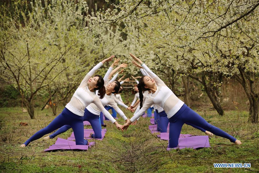 Yoga fans practise yoga on farmland of flowers in C China's Zhangjiajie<BR>