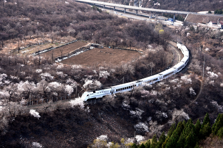 A peachy train ride