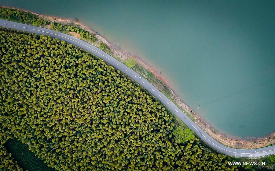 Spring scenery across China